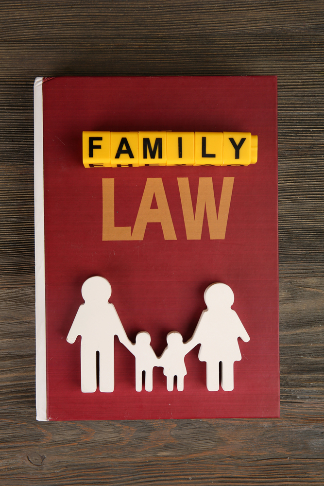 Concept of family law litigation Concept of family law litigation